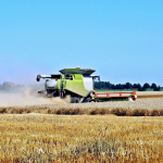 Operational Efficiency