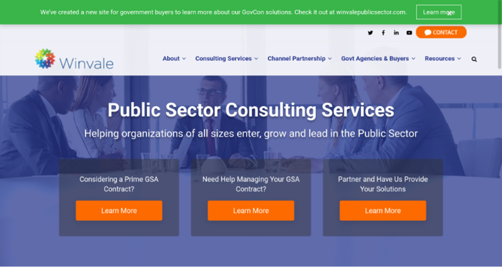 public sector consulting